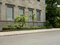 a sidewalk near buildings that are not in use anymore?, with trees on either side