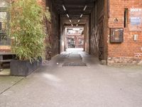 a building that has a walkway in it and some green planters on the walls