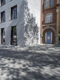 a street with buildings and a tree in it in front of the building on the right side