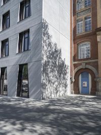 a street with buildings and a tree in it in front of the building on the right side