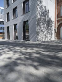 a street with buildings and a tree in it in front of the building on the right side