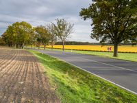 Autumn Road in Berlin, Germany