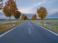 a paved road in an open field with trees in fall color and no one is on the side