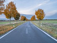 a paved road in an open field with trees in fall color and no one is on the side