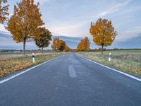 a paved road in an open field with trees in fall color and no one is on the side