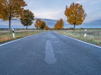 a paved road in an open field with trees in fall color and no one is on the side