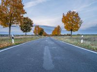 a paved road in an open field with trees in fall color and no one is on the side