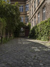 an alley with cobblestone paving and trees in front of two large windows with one door