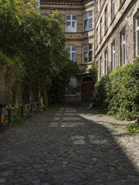 an alley with cobblestone paving and trees in front of two large windows with one door