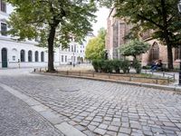 a city street is paved with stone pavers and tree lined sidewalks in a public plaza