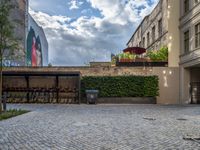 an empty parking lot with plants in the ground and on the side of the building, there is an enclosed area and windows