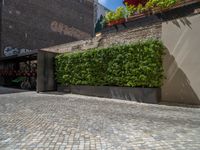 a green shrub near a gray building and a brick walkway with a bicycle rack in it