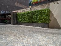 a green shrub near a gray building and a brick walkway with a bicycle rack in it