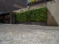 a green shrub near a gray building and a brick walkway with a bicycle rack in it