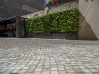 a green shrub near a gray building and a brick walkway with a bicycle rack in it