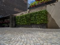 a green shrub near a gray building and a brick walkway with a bicycle rack in it