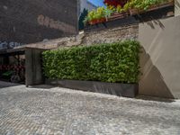 a green shrub near a gray building and a brick walkway with a bicycle rack in it