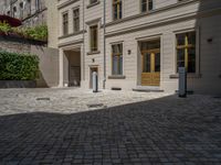 a green shrub near a gray building and a brick walkway with a bicycle rack in it