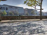 the road is made out of cobblestone bricks in a street corner between trees and a tall building