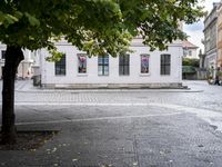 empty intersection with benches and building in the background, and a tree on both sides