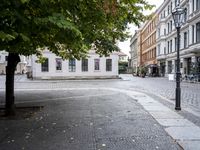 empty intersection with benches and building in the background, and a tree on both sides