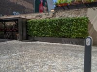 a green shrub near a gray building and a brick walkway with a bicycle rack in it