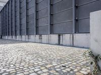 a wall in front of an office building with a white fire hydrant in the foreground