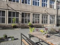 the outside courtyard of the building with benches and tables in front of it, where several flowers have grown on them