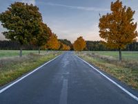 a lone highway runs through an open field in autumn season, with trees turning bright yellow