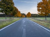 a lone highway runs through an open field in autumn season, with trees turning bright yellow