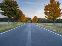 a lone highway runs through an open field in autumn season, with trees turning bright yellow