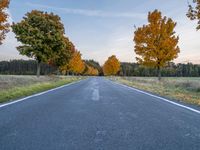 a lone highway runs through an open field in autumn season, with trees turning bright yellow