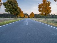 a lone highway runs through an open field in autumn season, with trees turning bright yellow