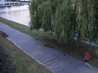 Berlin, Germany at Dawn: A Road by the Water in a Residential Area