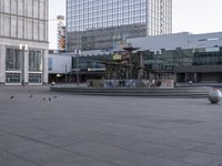 birds sitting on the floor and walking in front of a building with a fountain and a clock tower