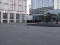 birds sitting on the floor and walking in front of a building with a fountain and a clock tower