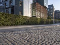 a view of a street at dusk with building in the background and cobblestones