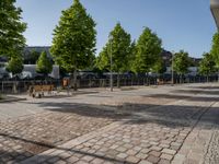 an empty city square with lots of benches and trees on either side of the brick pavement