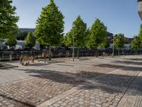 an empty city square with lots of benches and trees on either side of the brick pavement