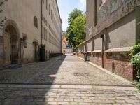 empty cobblestones with no one going down the street in a small town area