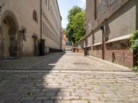 empty cobblestones with no one going down the street in a small town area