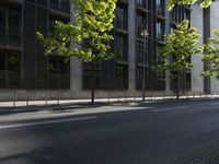 the road is empty near some buildings and trees that are lined with metal barriers on both sides