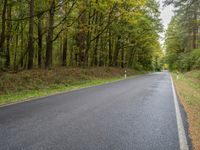 an empty road in the woods is seen in this picture of trees lined with green leaves