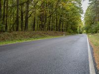 an empty road in the woods is seen in this picture of trees lined with green leaves