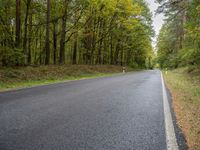 an empty road in the woods is seen in this picture of trees lined with green leaves