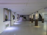 a dimly lit, long hallway leads to the upper floors of an office building with glass railings leading to several rooms