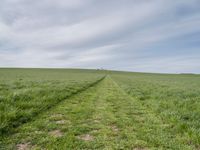 Berlin, Germany: Beautiful Landscape with Green Grass