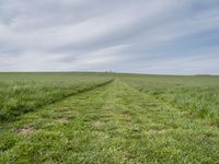 Berlin, Germany: Beautiful Landscape with Green Grass