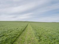 Berlin, Germany: Beautiful Landscape with Green Grass