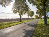 Lush Green Landscape in Berlin, Germany with Clear Sky